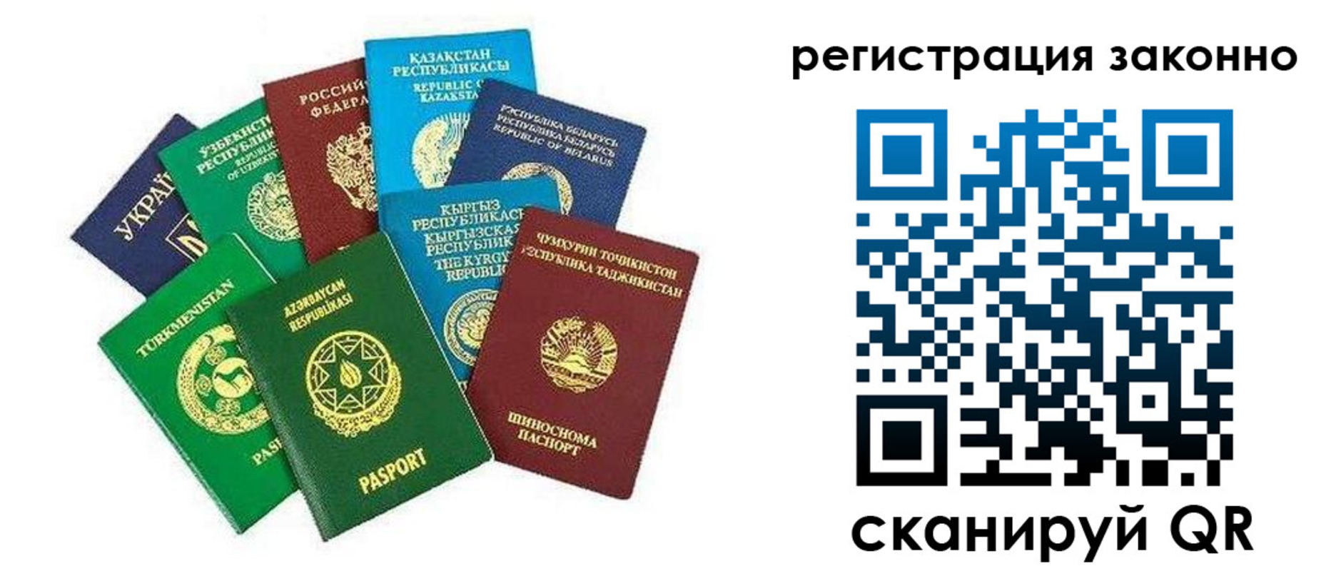 временная регистрация поиск в Красном Куте